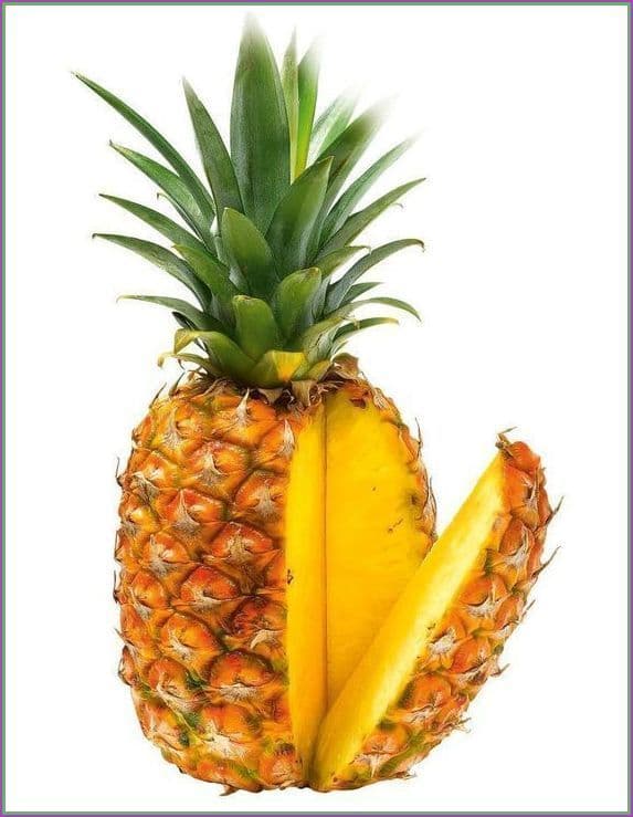 PINEAPPLE