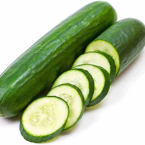 CUCUMBER