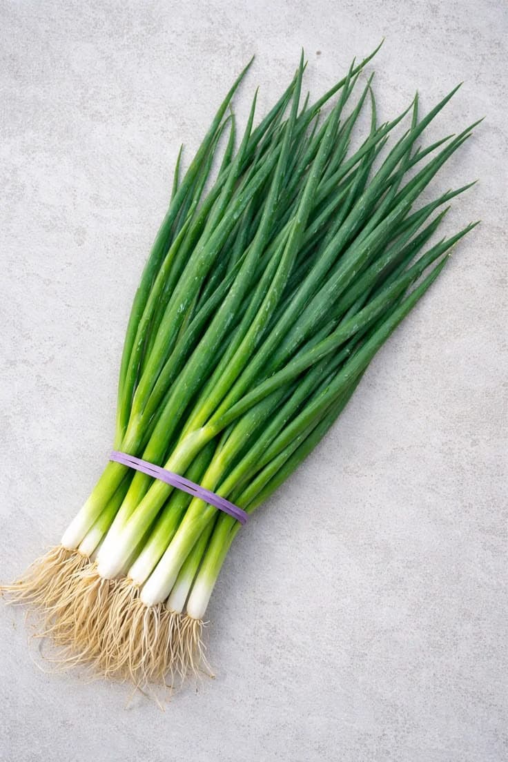 SPRING ONIONS