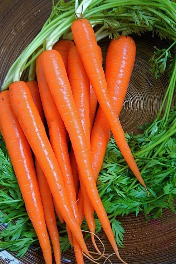 CARROTS