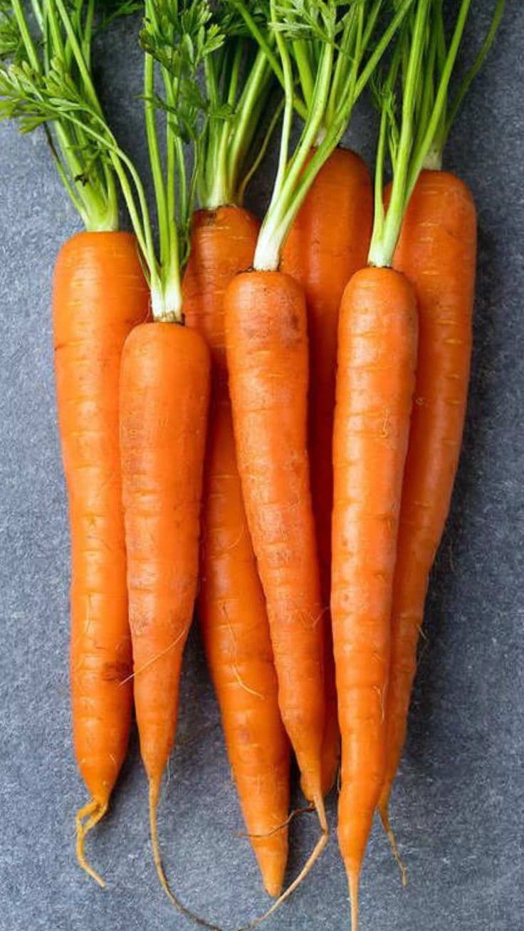 CARROTS