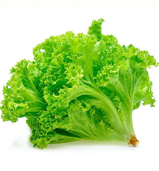 LETTUCE