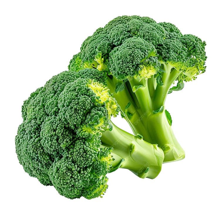 BROCCOLI