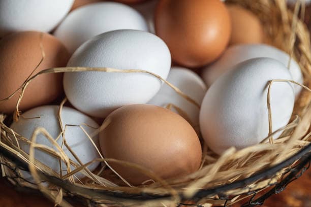 Eggs