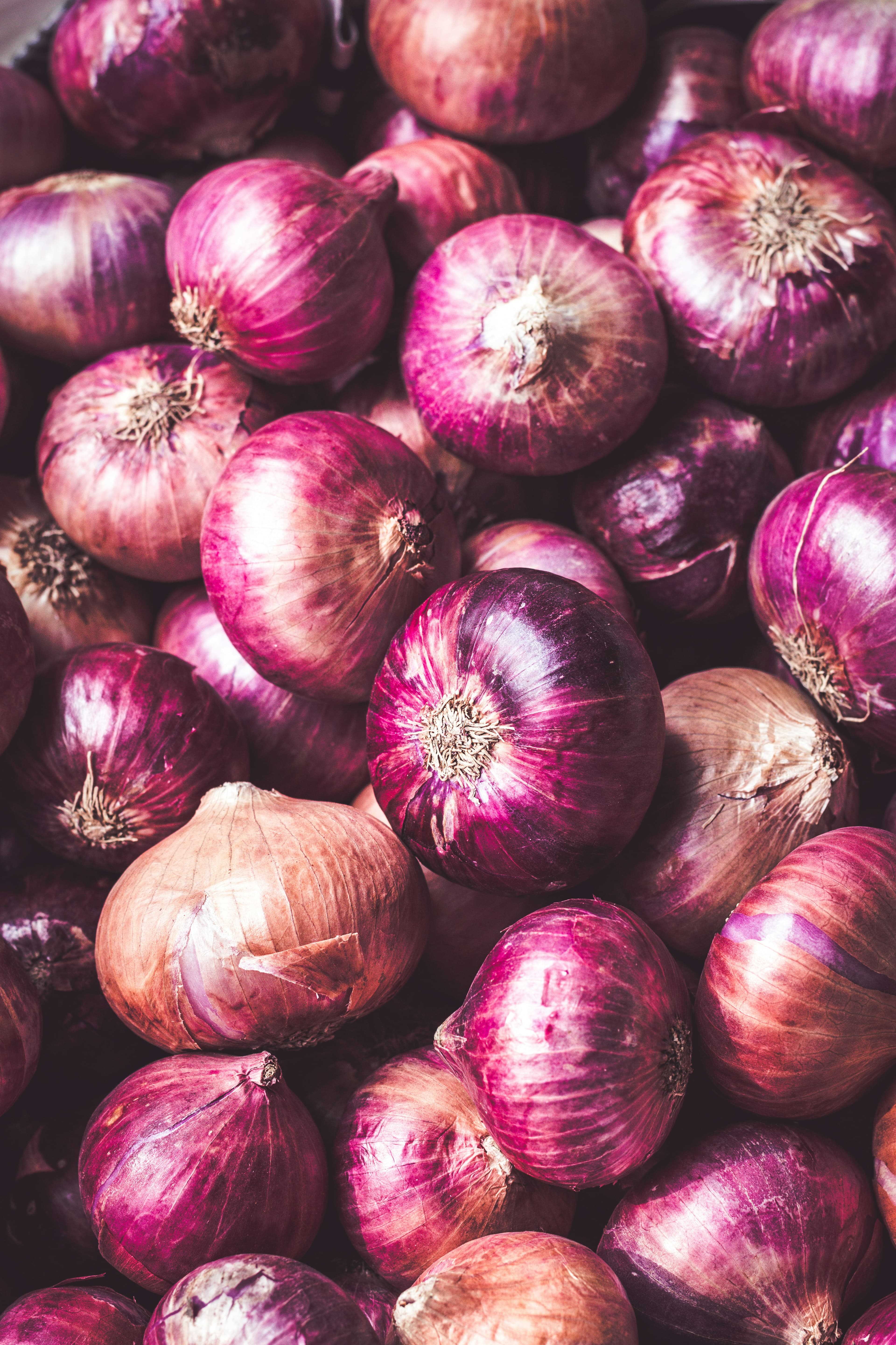 Onion