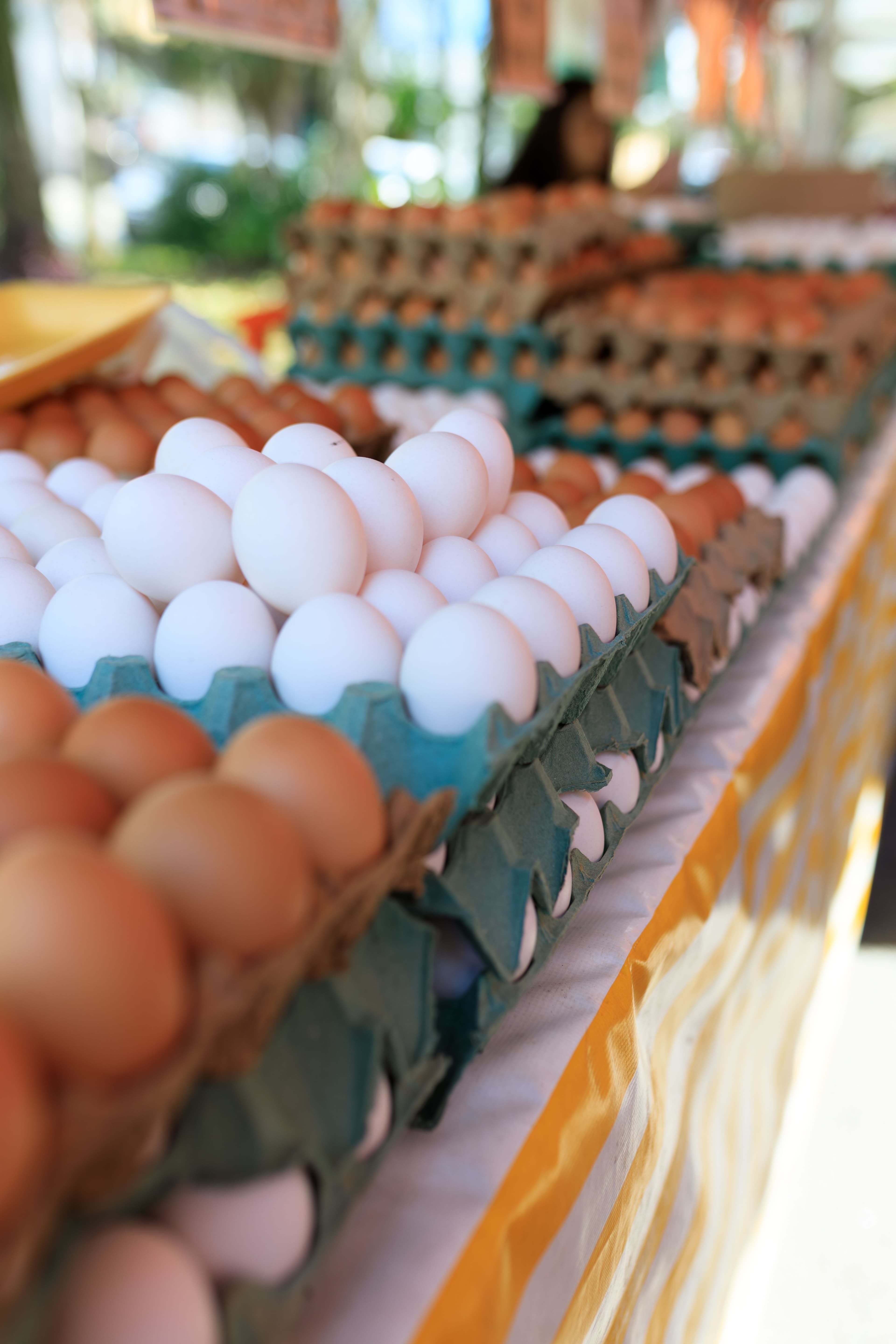 Eggs