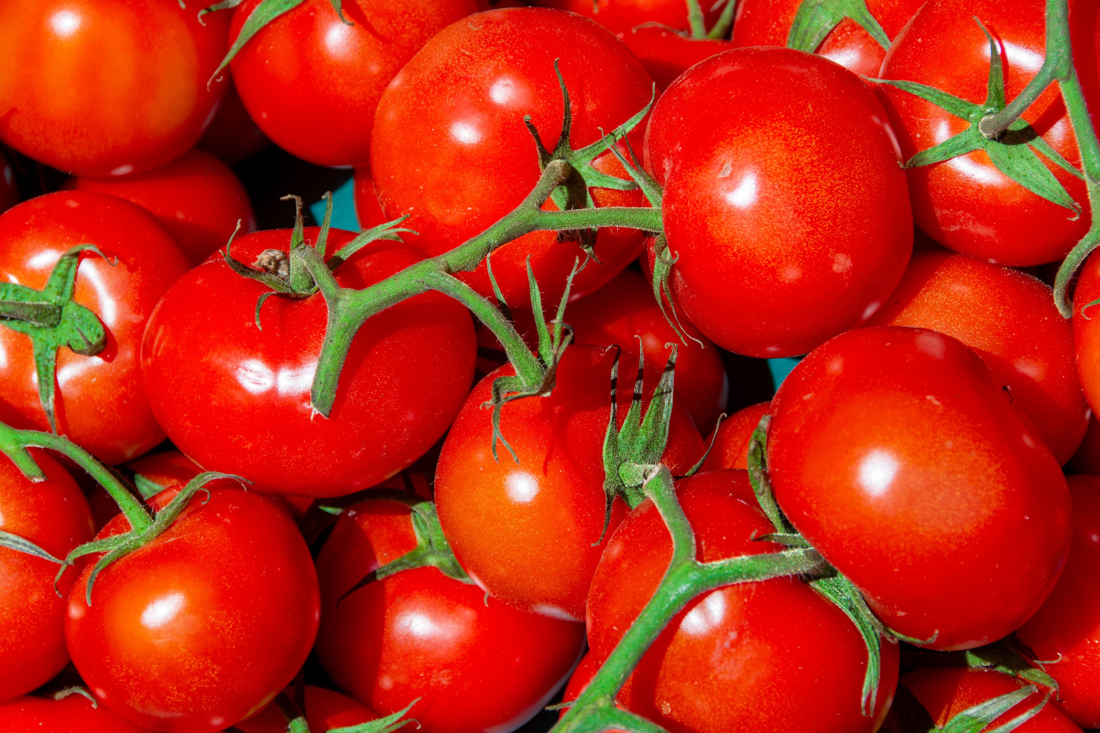 Tomatoes